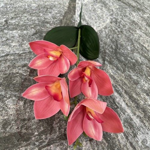 Orchid cymbidium 3d eva - orchid��e,