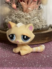 🌸Petshop Chat Gouttière