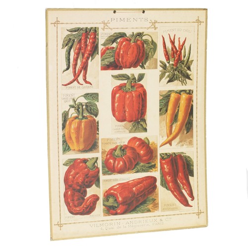 Affiche cartonnée