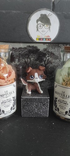 Littlest petshop pet shop - pet, lps