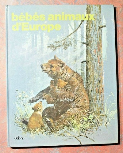 Bebes animaux europe marie - animaux, d'europe