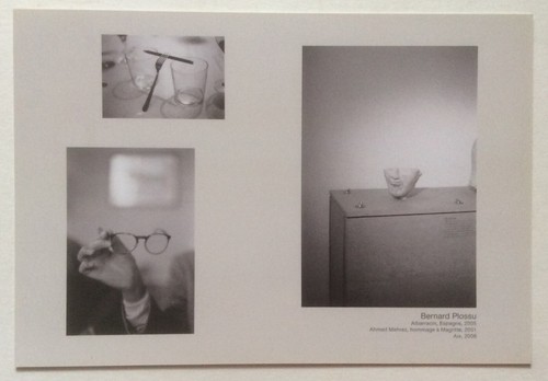 Bernard plossu shoji ueda - bernard,