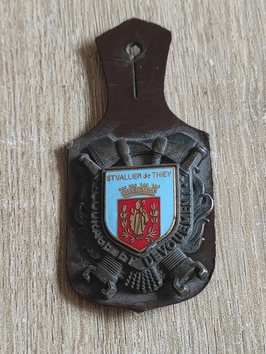 Rare insigne pucelle insigne