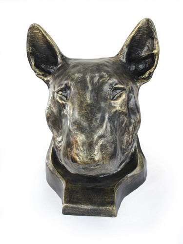 Bull terrier grand tête - bull,