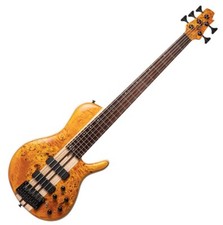 Cort A5 Plus SC 5 String
