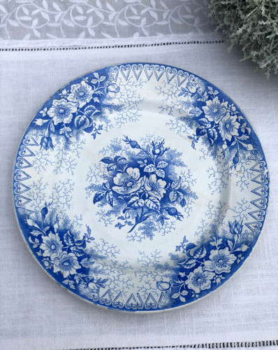 églantine assiette g - Églantine,