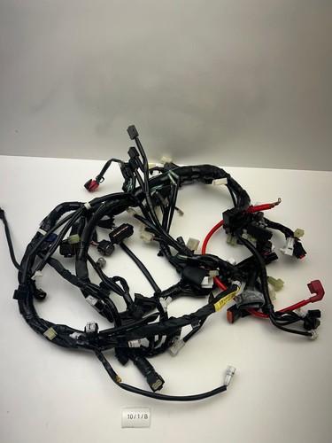 Faisceau électrique complet