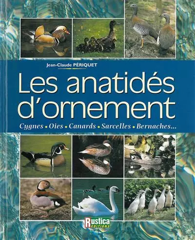 Les anatidés ornement - les,