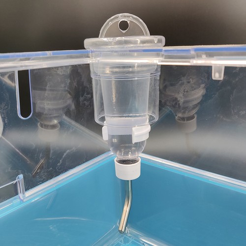 Fontaine eau pour animaux - , À