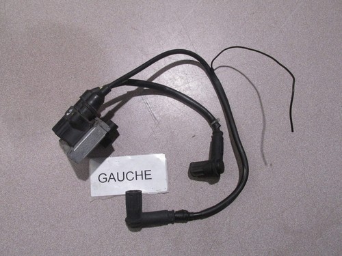 Bobine gauche moto - (moto,