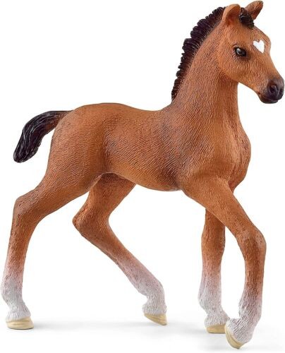 Horse club 13947 oldenburg - club,