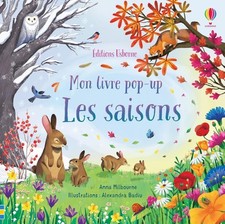 Les saisons - Mon livre pop-up - dès 3 ans