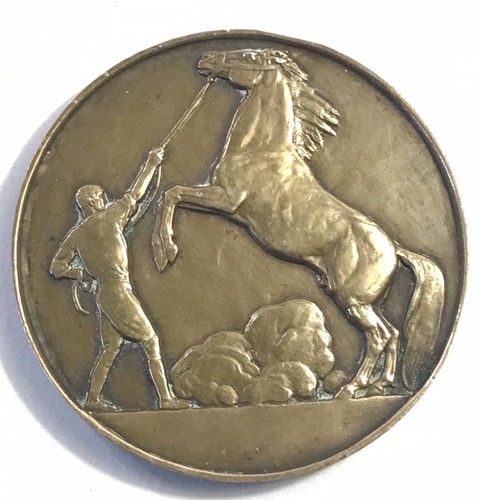 Rare medaille bronze direction - medaille,