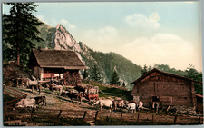 Pilatus. Emsigenalp mit