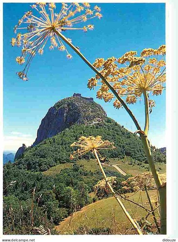 Carte postale - carte, 09