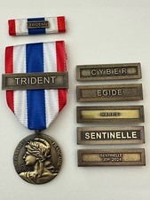 MEDAILLE de la PROTECTION MILITAIRE DU TERRITOIRE avec Agrafe et Dixmude