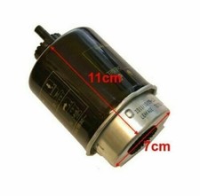 Filtre Gasole Lombardini 492