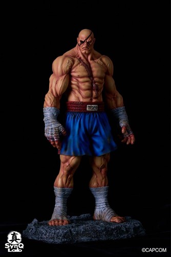Sagat street fighter 6 - street, ii