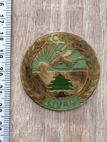 Broche insigne regiment ccos - broche,