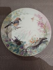 Assiette Limoges , oiseau , lézard , lucane cerf volant , fleurs