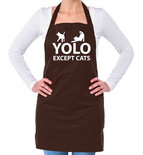 Yolo exception chats - yolo,