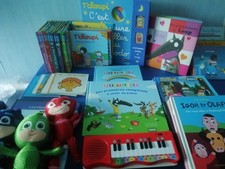 gros lot  livres enfants  t'choupi , le loup , petit ours brun , p'tit loup....