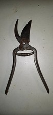 Secateur ancien de - ,