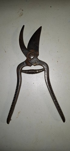 Secateur ancien de - ,