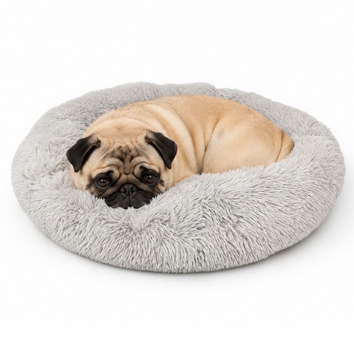 Lit pour chien - pour, chat