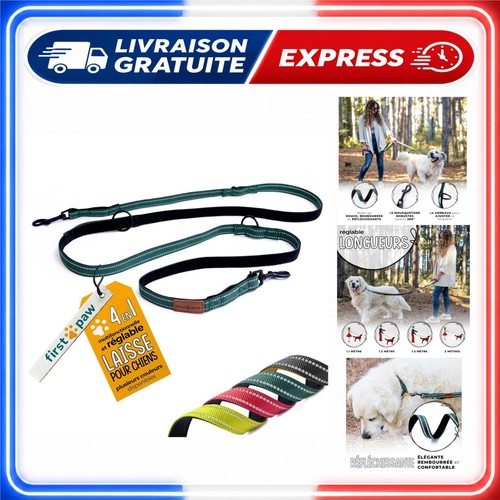 Laisse pour chiens - chiens, réglable
