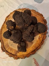 Truffes fraîches 300 g - 