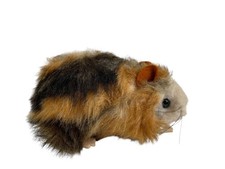 Peluche de collection cochon