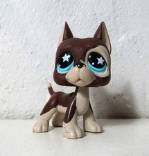 Petshop chien dog argentin danois 817