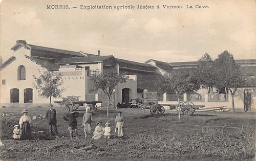 Algérie morris ben mehdi - ben,