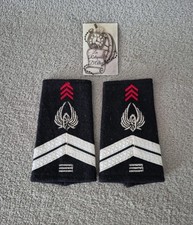 Paire de fourreaux d'épaule