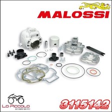 3115142 MALOSSI Groupe