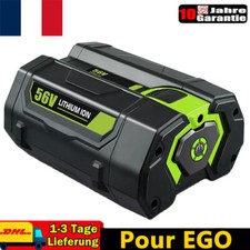 9,0Ah 56V Lithium Batterie