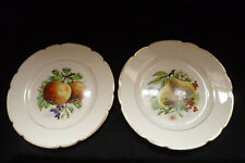 2 assiettes décor fruits porcelaine ancienne Limoges WG et Cie  william Guérin