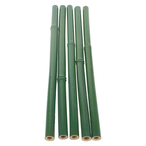 Pcs tuteurs pour - 5, plantes