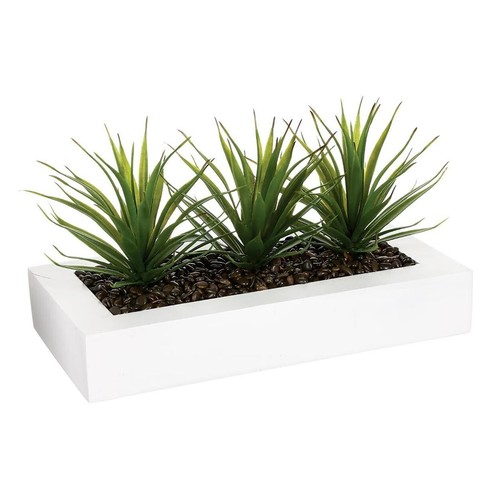 Centre table aloe - de,