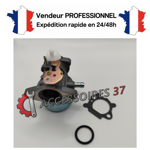 Carburateur 499059 497586 - 499059, ou