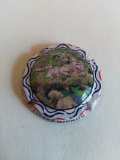 Capsule de champagne Pierre