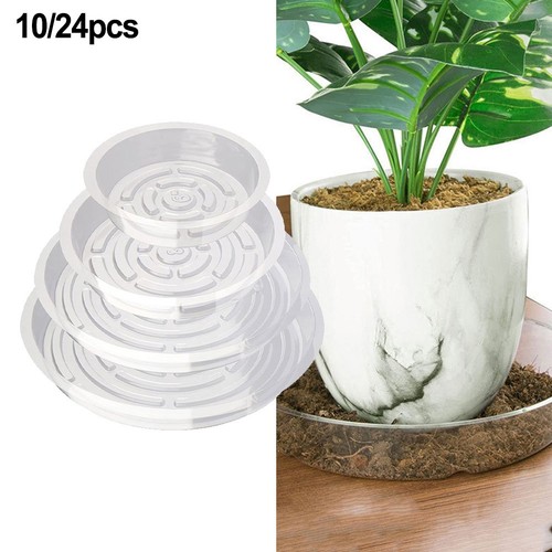 Soucoupes plantes - soucoupes,