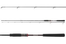 DAIWA Ballistic X Spin 2,10m