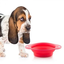 Gamelle de voyage pliable pour