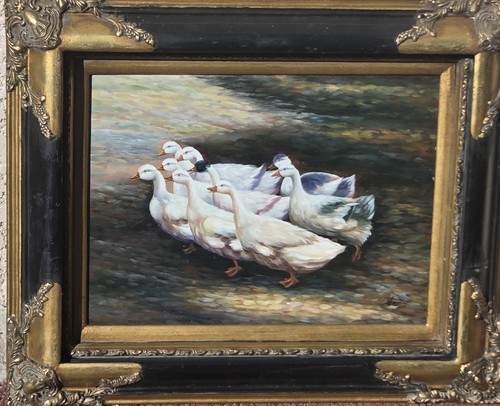 Harding famille de canards - harding,