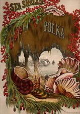 Superbe partition anglaise piano v 1880 - Sea Shells Polka, p. William SMALLWOOD