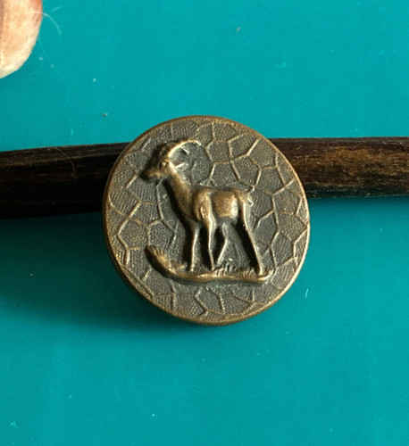 Ancien bouton vénerie cerf - ancien,