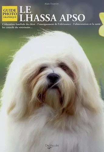 Lhassa apso alain - le,