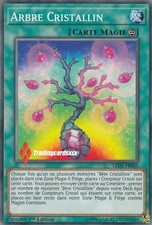 ♦Yu-Gi-Oh!♦ Arbre